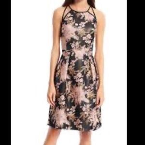 Adriana Papell dress